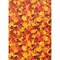 Teacher Created Resources Fall Leaves Better Than Paper Bulletin Board Roll, 4ft. x 12ft., 4PK TCR32440 - alternate 2